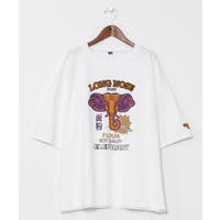 アミナコレクション | ACNW0030488