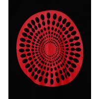 アミナコレクション（アミナコレクション）のトップス/Ｔシャツ