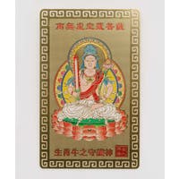 アミナコレクション  | ACNW0030447