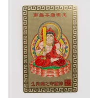 アミナコレクション  | ACNW0030447