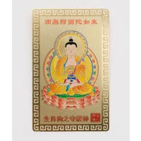 アミナコレクション  | ACNW0030447