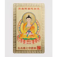 アミナコレクション  | ACNW0030447