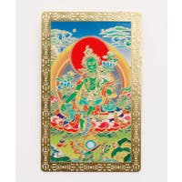 アミナコレクション  | ACNW0030446