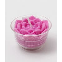 アミナコレクション  | ACNW0029855