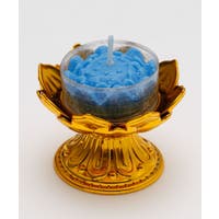 アミナコレクション  | ACNW0029840