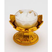 アミナコレクション  | ACNW0029840