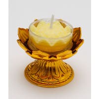 アミナコレクション  | ACNW0029840