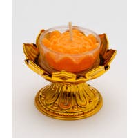 アミナコレクション  | ACNW0029840