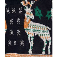 アミナコレクション  | ACNW0030457