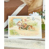 アミナコレクション  | ACNW0030433