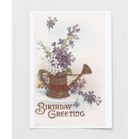 アミナコレクション  | ACNW0030443