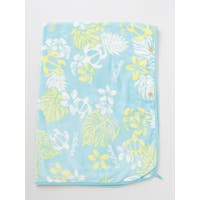 アミナコレクション  | ACNW0005470