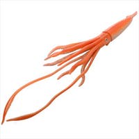 cinemacollection（シネマコレクション）のファッション雑貨/その他ホビー・ペット雑貨