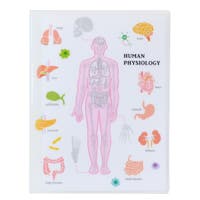 cinemacollection（シネマコレクション）の文房具/その他文房具