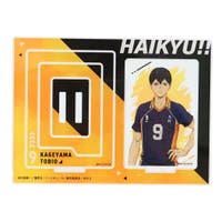 cinemacollection（シネマコレクション）のファッション雑貨/その他ホビー・ペット雑貨