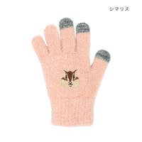 cinemacollection（シネマコレクション）の小物/手袋