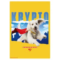 cinemacollection（シネマコレクション）の寝具・インテリア雑貨/ウォールデコレーション