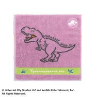 cinemacollection（シネマコレクション）の小物/ハンカチ