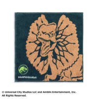 cinemacollection（シネマコレクション）の小物/ハンカチ