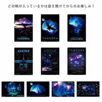 cinemacollection（シネマコレクション）のファッション雑貨/その他雑貨