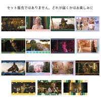 cinemacollection（シネマコレクション）のファッション雑貨/その他雑貨
