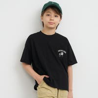 coca | PA000018445