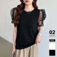 COCOMOMO | COCW0006423