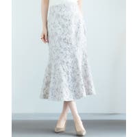 SAISON DE PAPILLON  | DSSW0004748