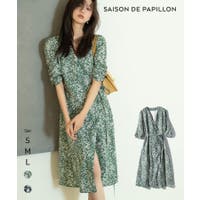 SAISON DE PAPILLON  | DSSW0001704