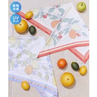 earth music&ecology （アースミュージックアンドエコロジー ）の小物/スカーフ