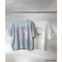 Green Parks （グリーンパークス）のトップス/Ｔシャツ