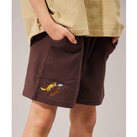 pairmanon | PAMK0032267