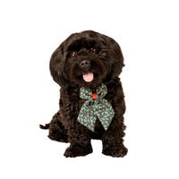 Flying Tiger Copenhagen（フライング タイガー コペンハーゲン）のファッション雑貨/ペットグッズ