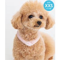 F.O.Online Store（エフオーオンラインストア ）のファッション雑貨/ペットグッズ