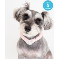 F.O.Online Store（エフオーオンラインストア ）のファッション雑貨/ペットグッズ
