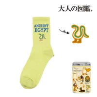 福助オンラインストア（フクスケ）のインナー・下着/靴下・ソックス