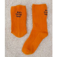 futier land | FI000009131