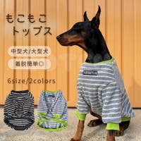 Gain-Mart（ゲインマート）のファッション雑貨/ペットグッズ