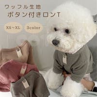 Gain-Mart（ゲインマート）のファッション雑貨/ペットグッズ