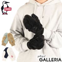 ギャレリア Bag＆Luggage（ギャレリアバックアンドラゲッジ）の小物/手袋