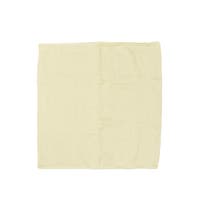 ギャレリア Bag＆Luggage | GLNB0017068