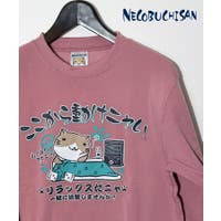 GROOVY STORE | GRVK0003384