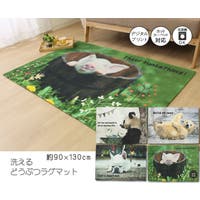 IKEHIKO（イケヒコ）の寝具・インテリア雑貨/ラグ・マット