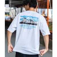 improves（インプローブス）のトップス/Ｔシャツ