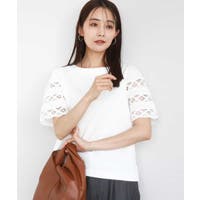 MK MICHEL KLEIN（エムケーミッシェルクラン）のトップス/カットソー