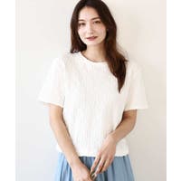 MK MICHEL KLEIN（エムケーミッシェルクラン）のトップス/カットソー
