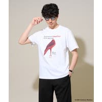 a.v.v【MEN】（アーヴェヴェ）のトップス/カットソー