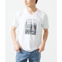 MK MICHEL KLEIN homme（エムケーミッシェルクランオム）のトップス/カットソー