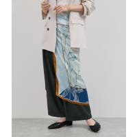 VIS  | VISW0050610