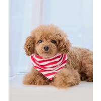 ROPE' PICNIC | RPCW0048247
